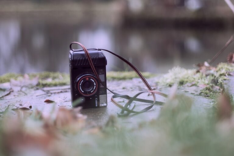 Photo "Why I Ditched My Old Camera for This"